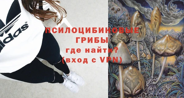 spice Магас