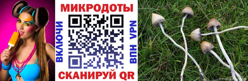 Галлюциногенные грибы Cubensis  Тейково 