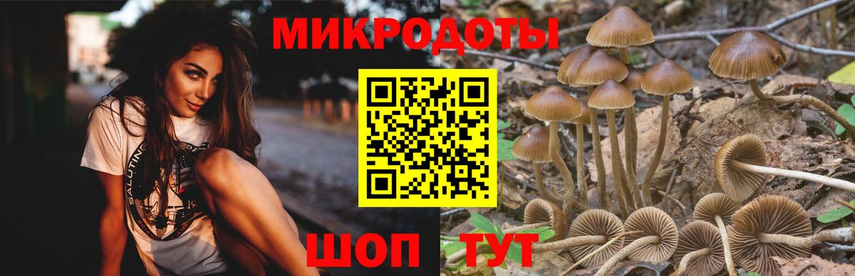 Галлюциногенные грибы мухоморы Тейково