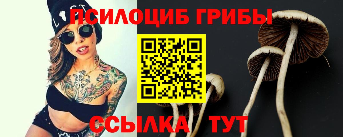 Галлюциногенные грибы GOLDEN TEACHER  Вход с VPN  Тейково 